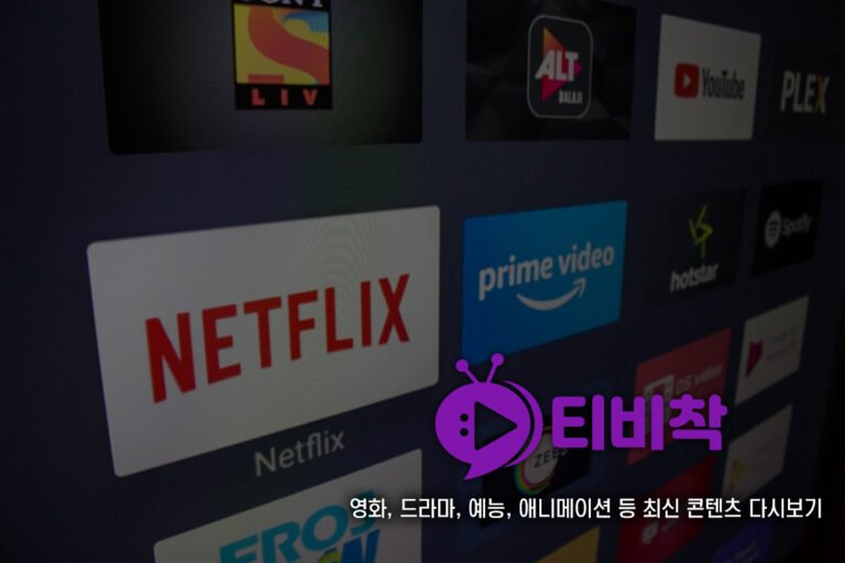 티비착